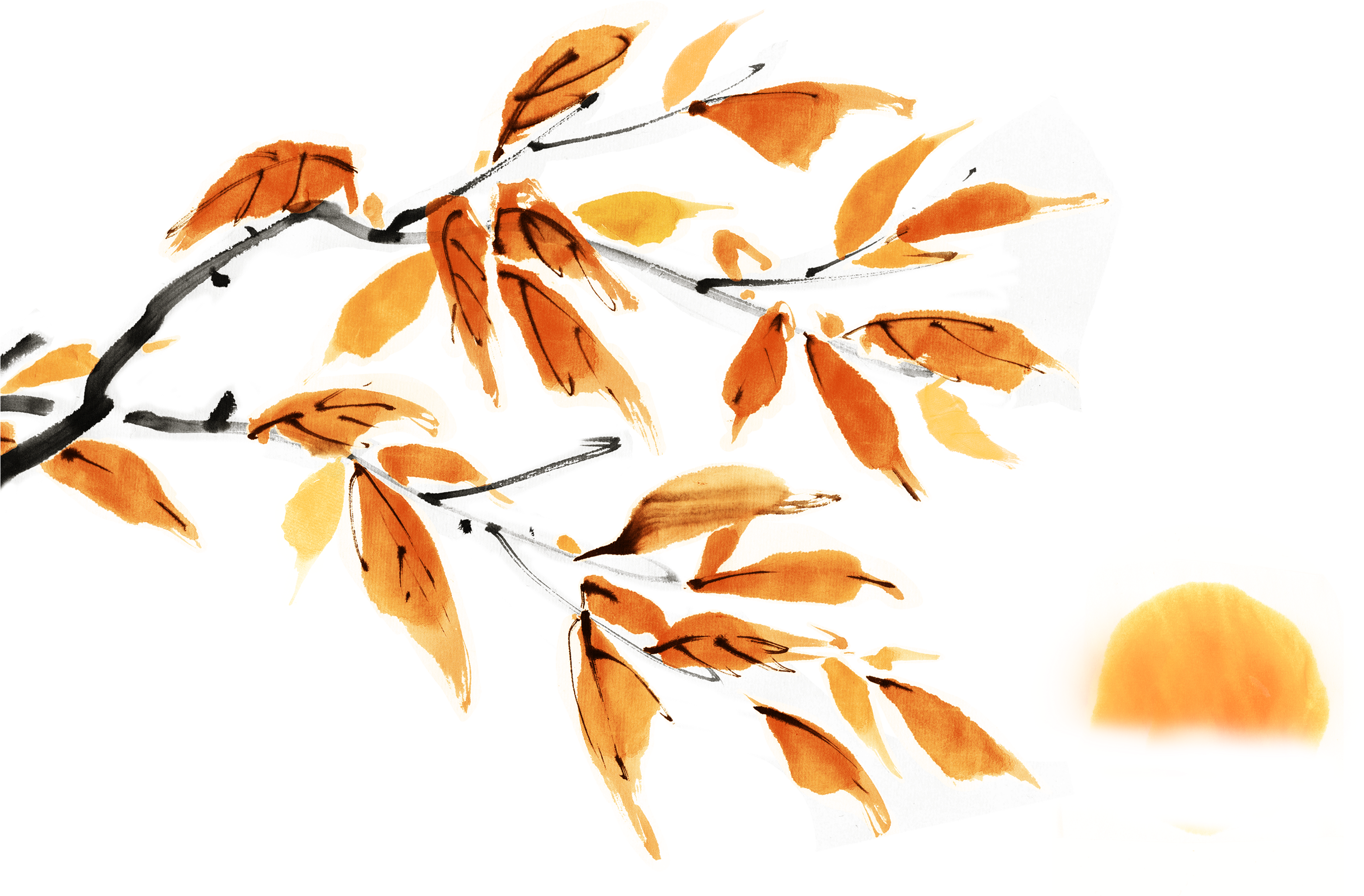 Chuseok M - Chuseok M (2985x2400)