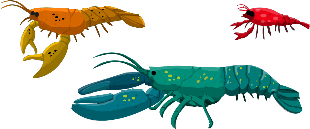 Lobster Rare - American Lobster (1025x429)