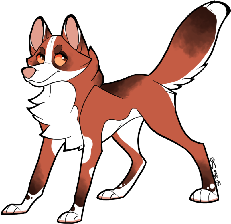 Canine Or Wolf Adopt - Dog Catches Something (886x886)