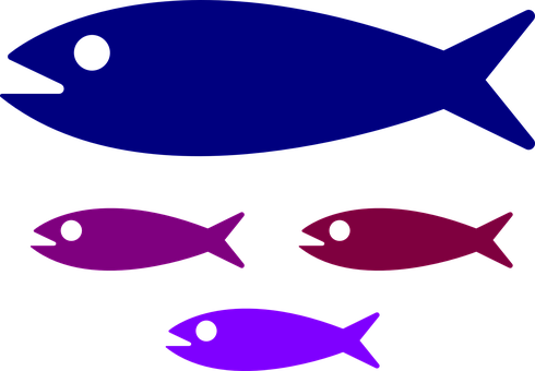 Shoal Fish Fish Family Water Kids Swimming - Small Medium Large Fish (490x340)