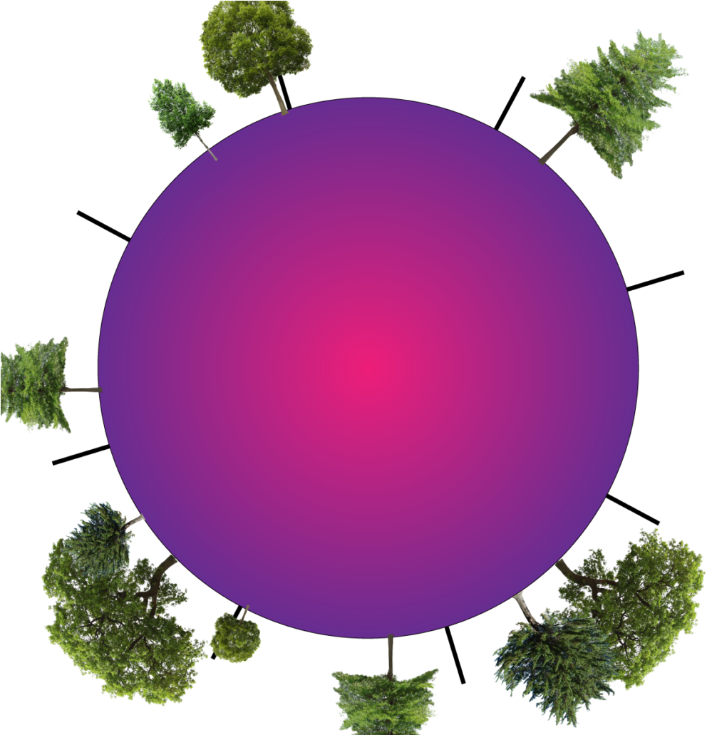 Rollin Road Nr - Le Radici Dell'amore (1030x1030)