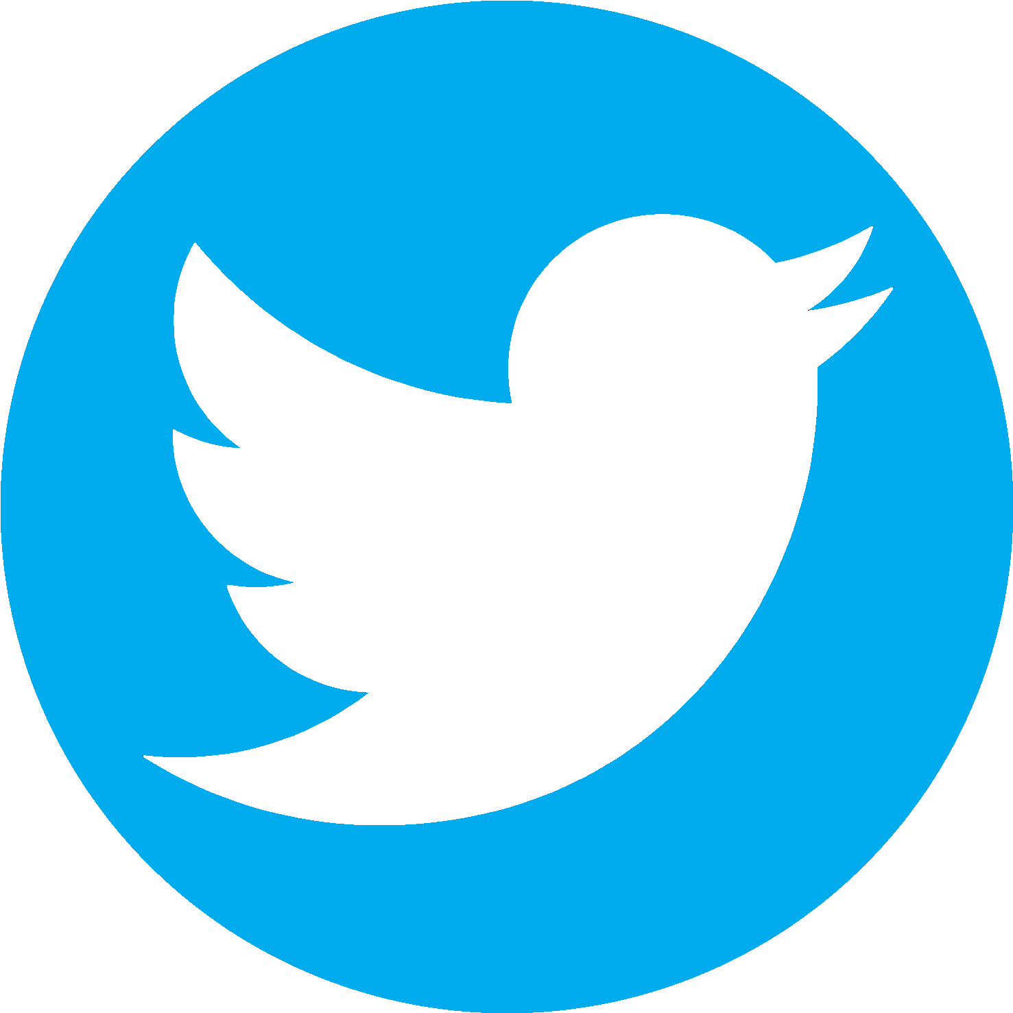 Classes - Transparent Background Twitter Logo (1500x1620)