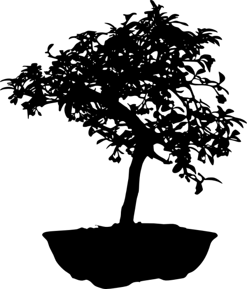 Bonsai Tree Silhouette Clip Art Clipart - Bonsai (480x563)