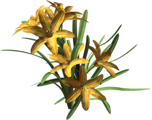 [ Img] - Portable Network Graphics (500x413)