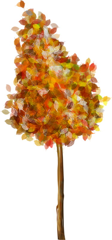 Publicat De Eu Ciresica La - .net (375x800)