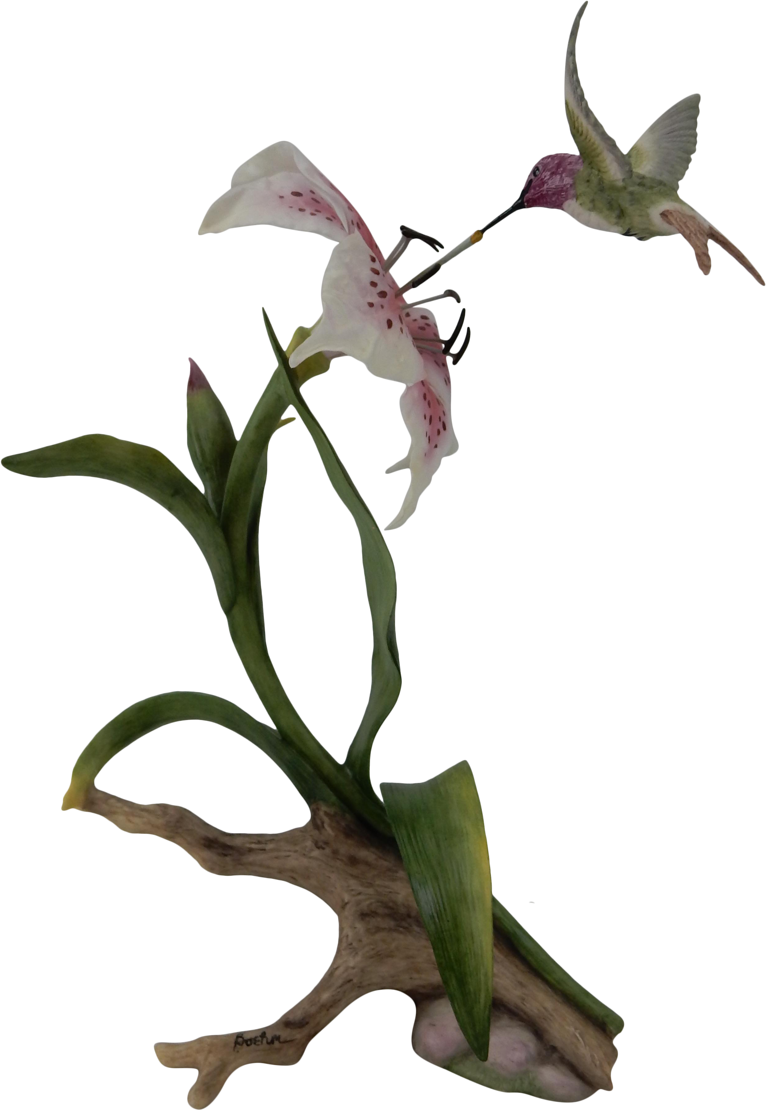 Yellow Lady's Slipper (2754x3989)