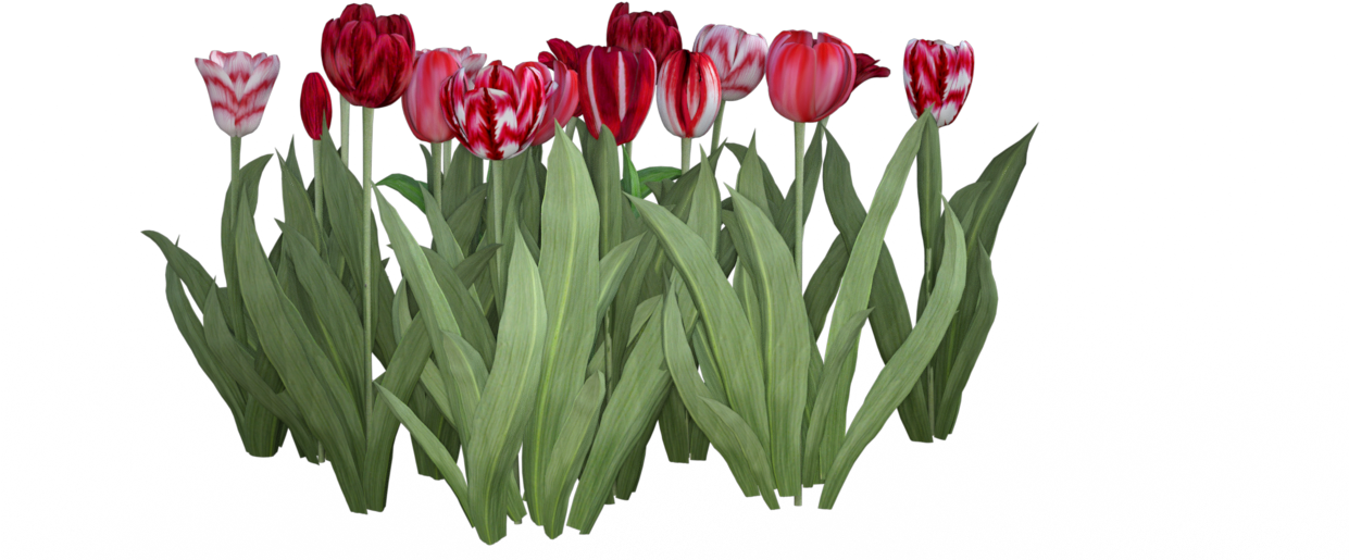 Red Iray - Mental Ray (1240x878)