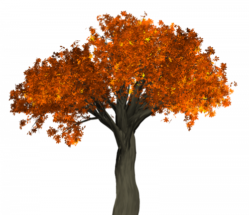 Autumn Tree Png (500x432)