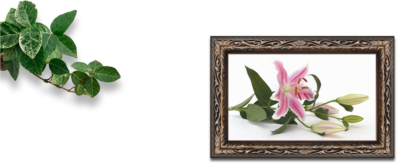 Reflexology Salon Lily - Monthly Bill Planner & Organizer (1600x800)