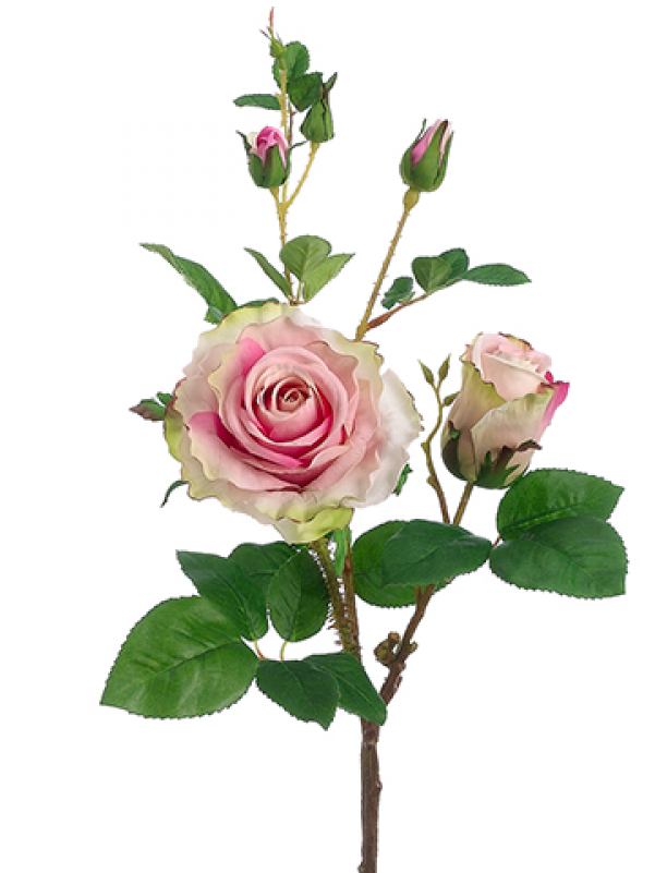 19" Rose Spray Rose Pink - 19" Handwrapped Silk Rose Flower Spray -rose/pink (pack (800x800)