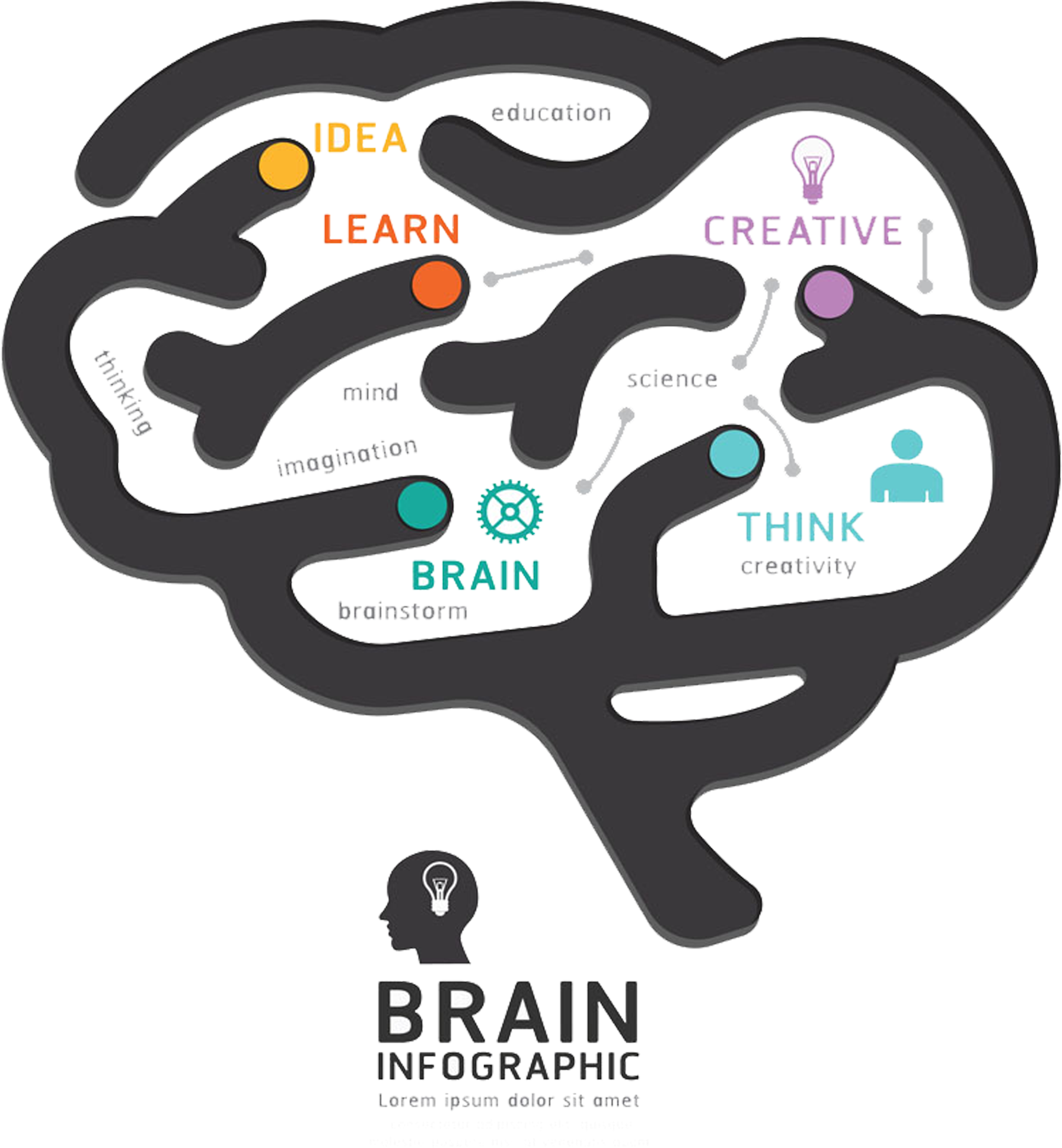Human Brain Graphic Design Diagram - Design (2953x2953)