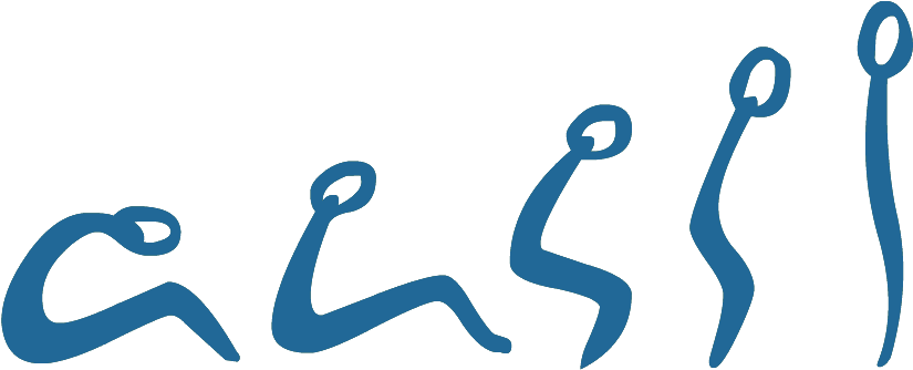 Chiropractic For Life, Llc - Chiropractic For Life, Llc (1200x430)