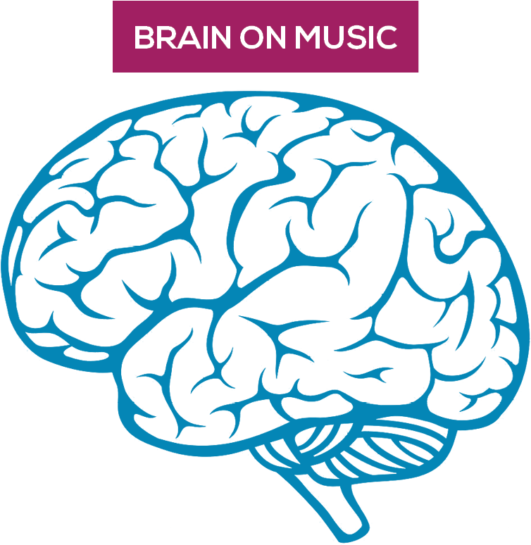Boosted Capacity Of Structural And Functional Plasticity - Brain Png (934x820)