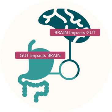 Follow Us On Facebook And Twitter - Gut Connected To Brain (374x377)