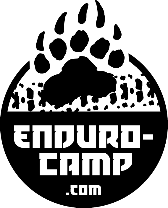 Bear Paw Print Outline (568x704)