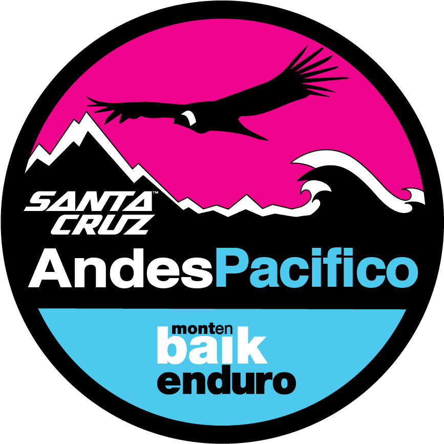 Logo Andes Pacifico - Andes (879x866)