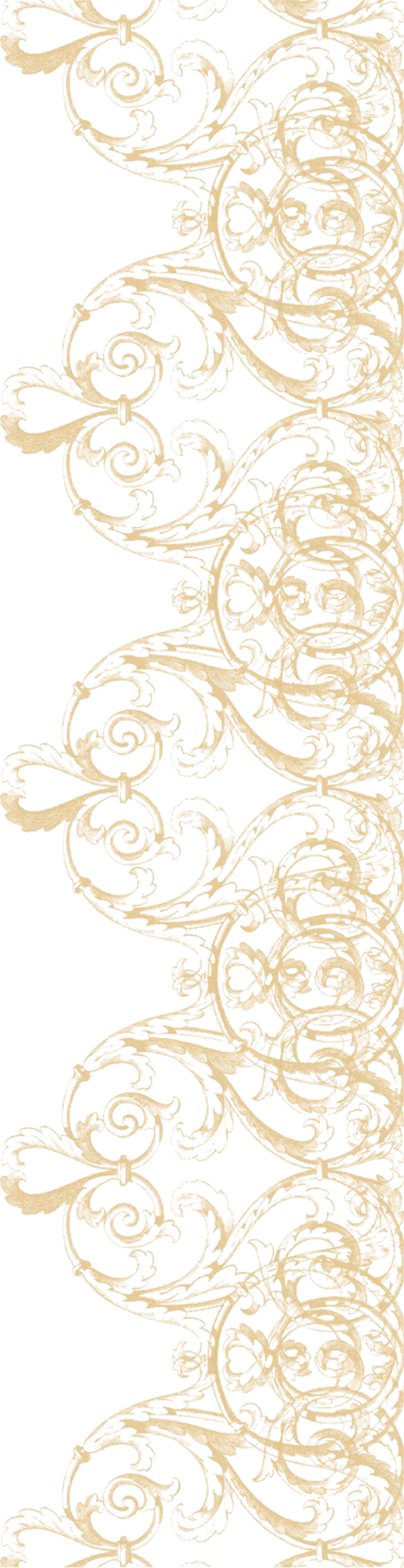 Vintage Lace Border Png (677x2626)