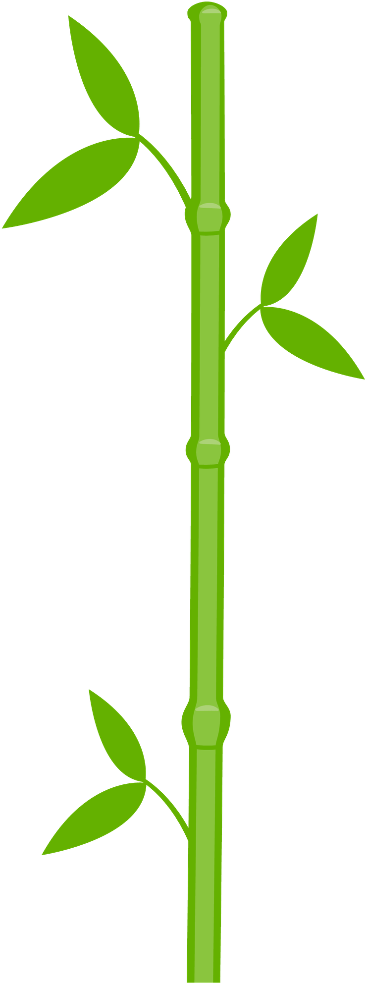 Panda Bear - Single Bamboo Clipart (772x2000)