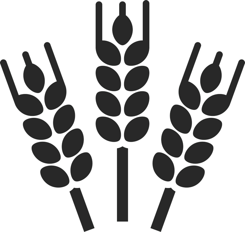 Three Barley Stalk Rubber Stamp - Beer Vector (800x758)