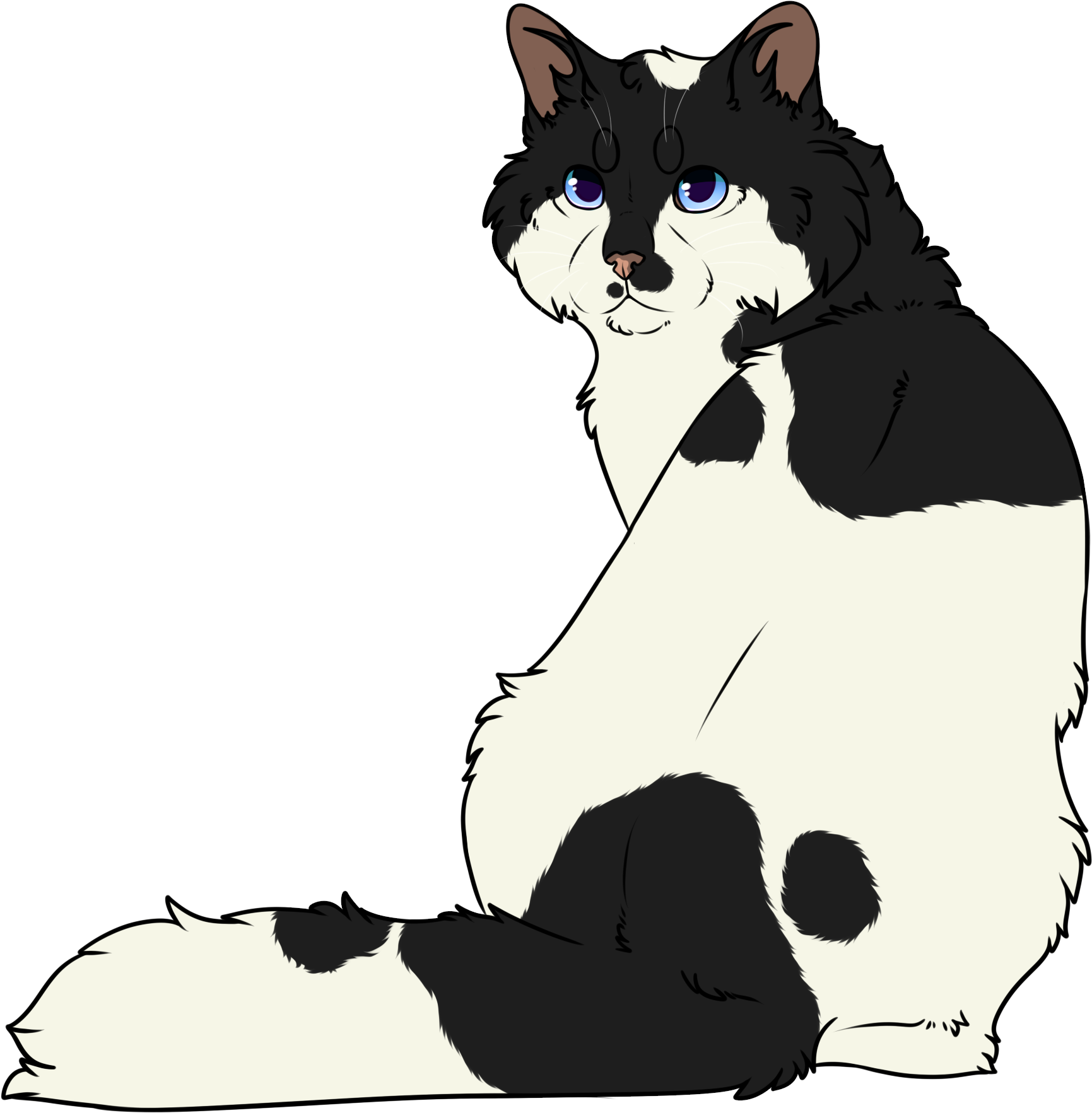 Barley By Thecatspupil Barley By Thecatspupil - Domestic Short-haired Cat (2000x2000)