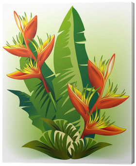 Cuadro En Lienzo Heliconia Fiore Tropicale Rosso Red - Lobster-claws (400x400)