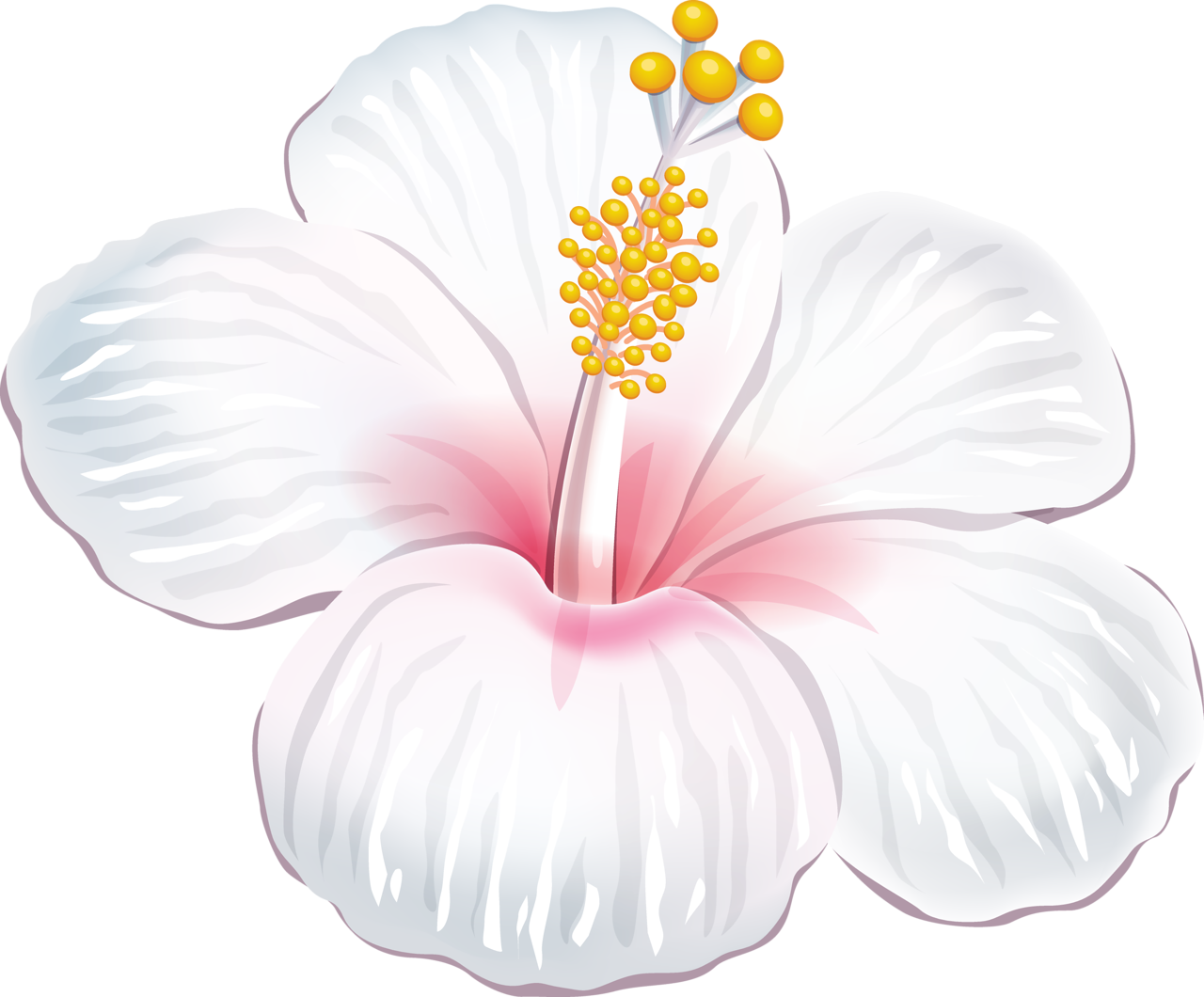 Tropical - Cafepress White Hibiscus Iphone 6 Slim Case (1280x1060)