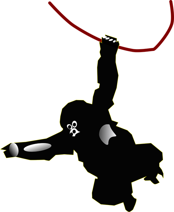 Hanging Monkey Clipart 13, Buy Clip Art - Gorilla Swinging From Vine Png (591x720)