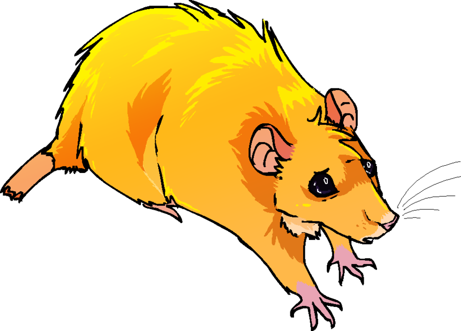 Oh What A Thing To Do By Mechanicalmasochist - Rat (900x647)