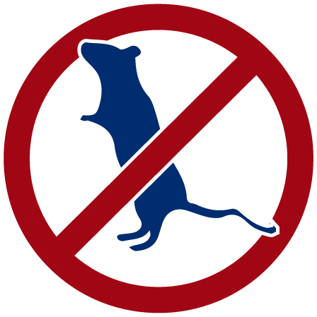 Rats And Mice - Portrait Of A Man (448x449)