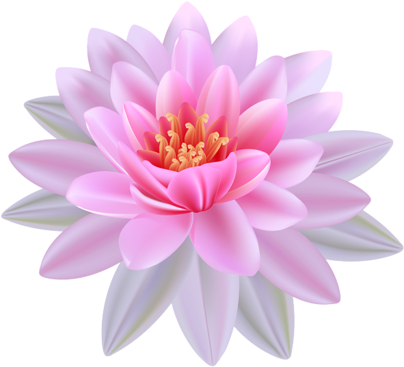 Scope="row" Style="background Color - Water Lily Flower Png (600x543)