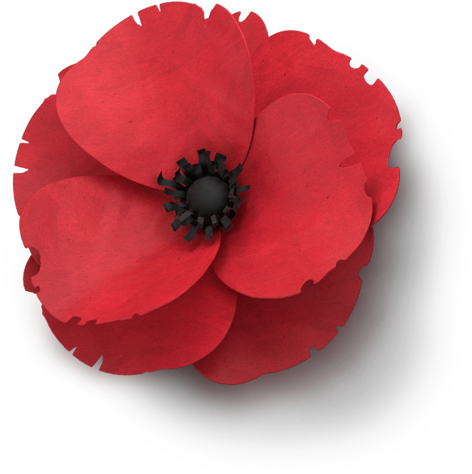 A/4009366887, Images Sorted - Corn Poppy (750x665)