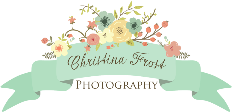 Christina Frost Photography - Wedding (1000x500)