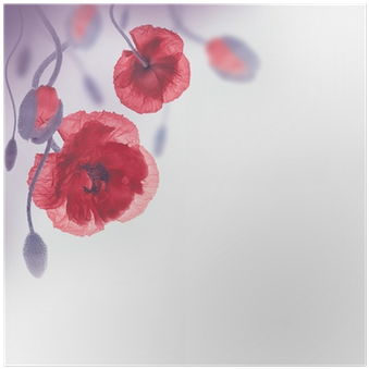 Red Poppies Field And Blue Cornflowers, Floral Background - Common Poppy (400x400)