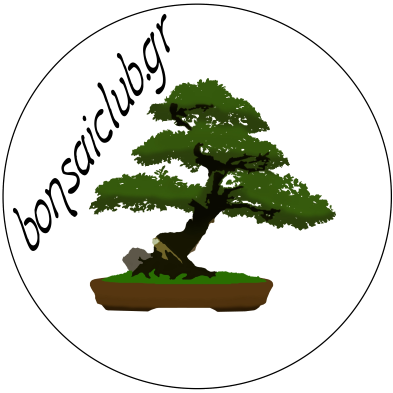 Bonsai Club Gr - Sageretia Theezans (393x393)