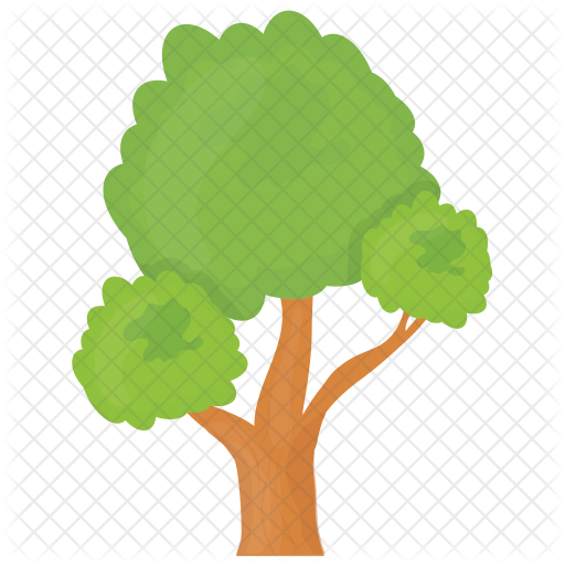 Bonsai Tree Icon - Bonsai (512x512)