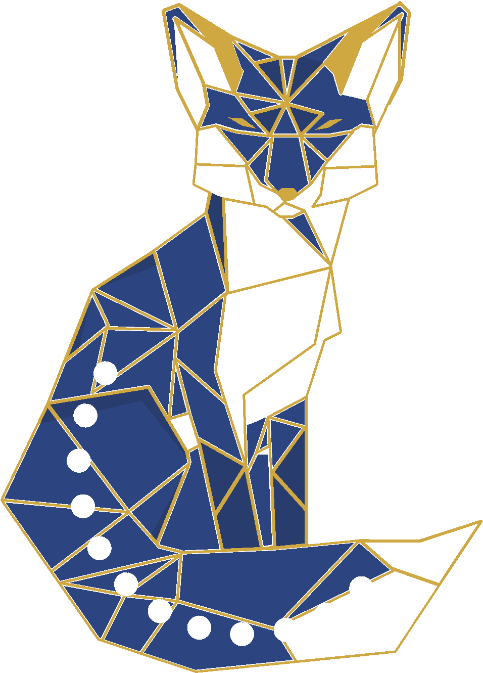 Fox Activity Tracker - Burn Baphomet (956x1331)