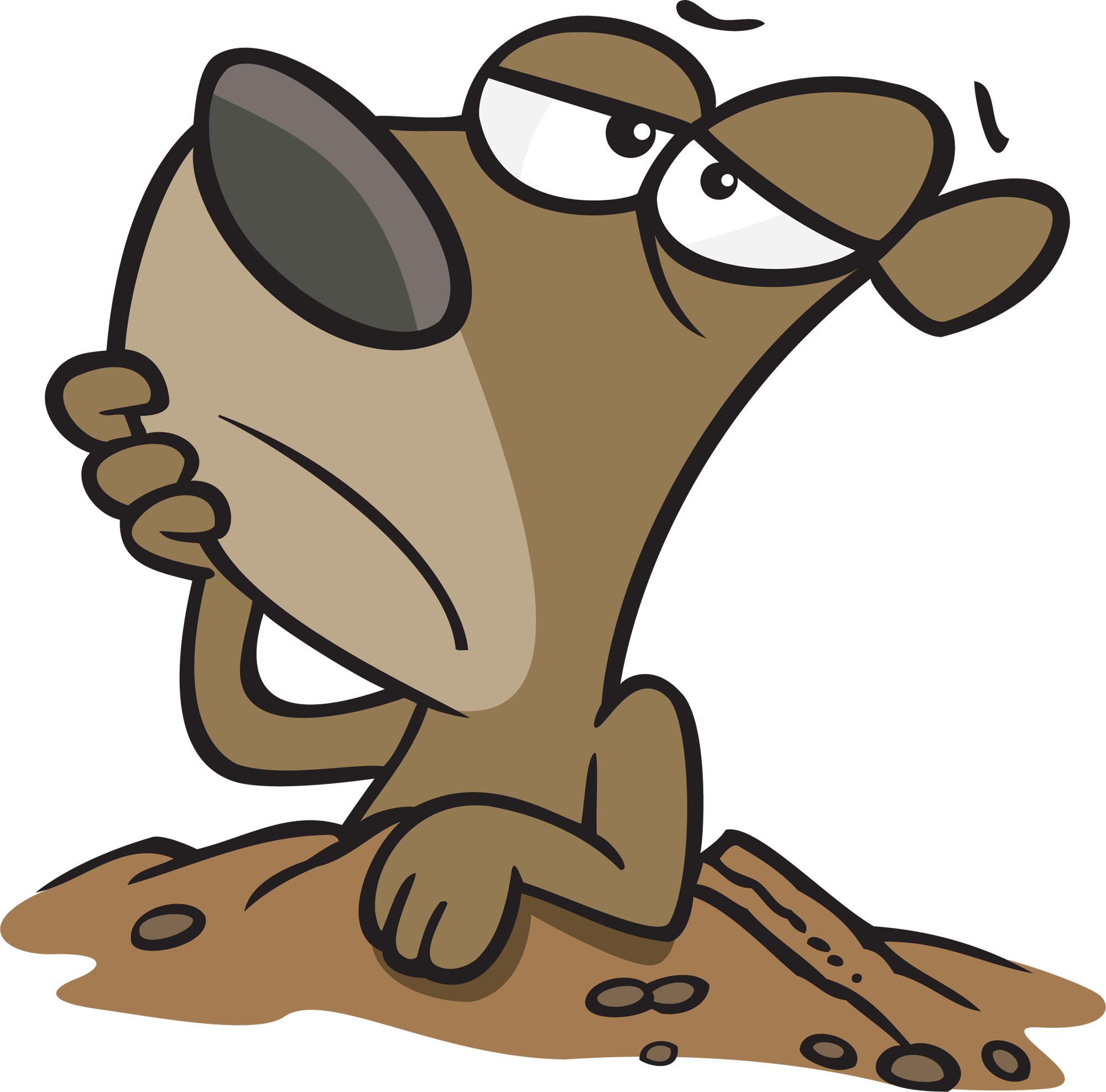 Cartoon Pictures Of Groundhogs - Cartoon Groundhog Png (2000x1975)
