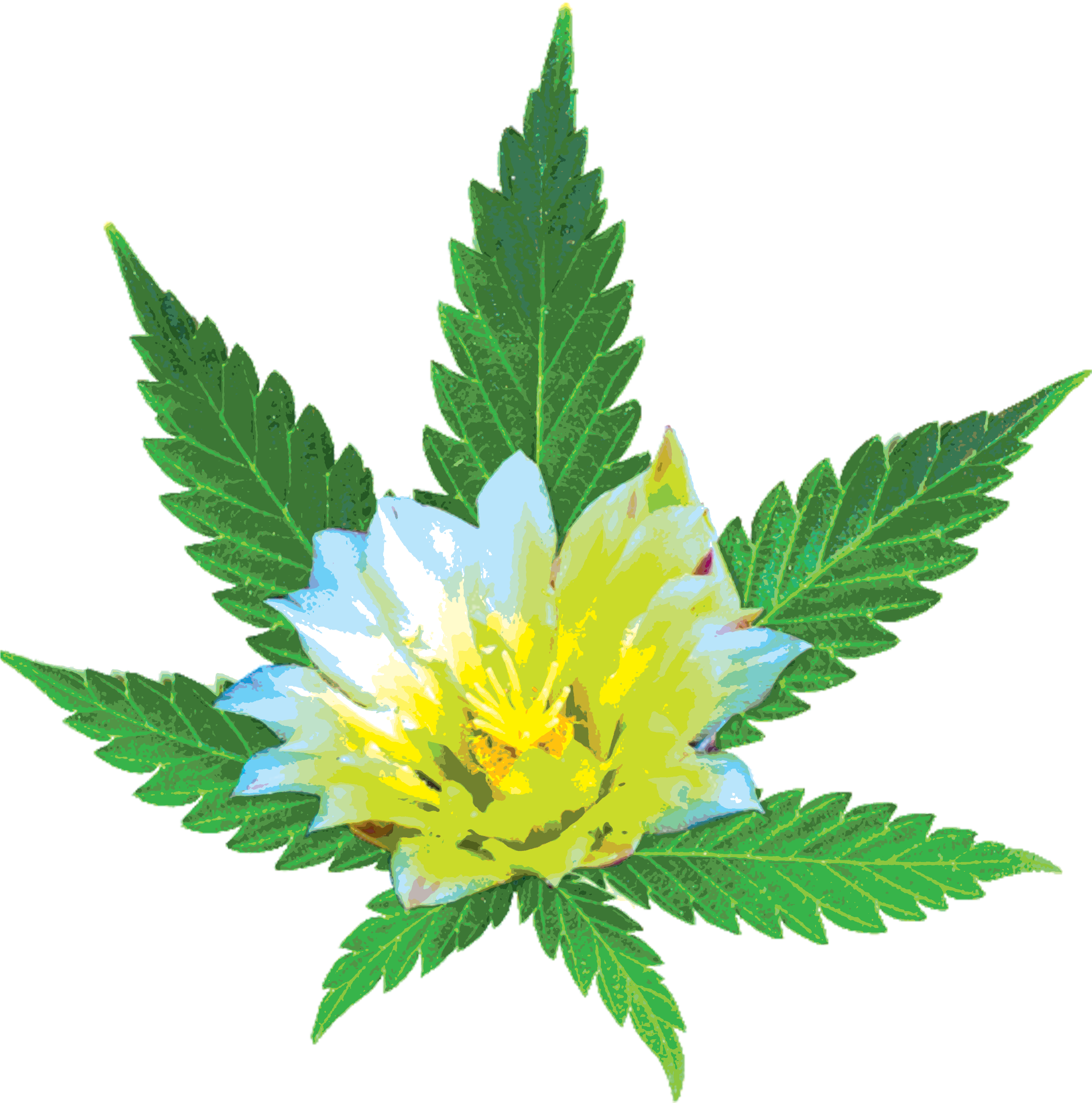 Desertbloom Leaf Posterized - Entourage Effect (3000x3000)