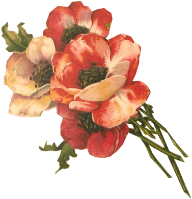 Floral 2 Tuck Db Org - Vintage Flowers Transparent Background (392x399)