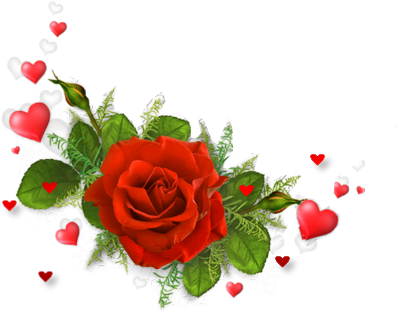 Rózsa - Tag By Jaya Glitter Gifs (422x348)