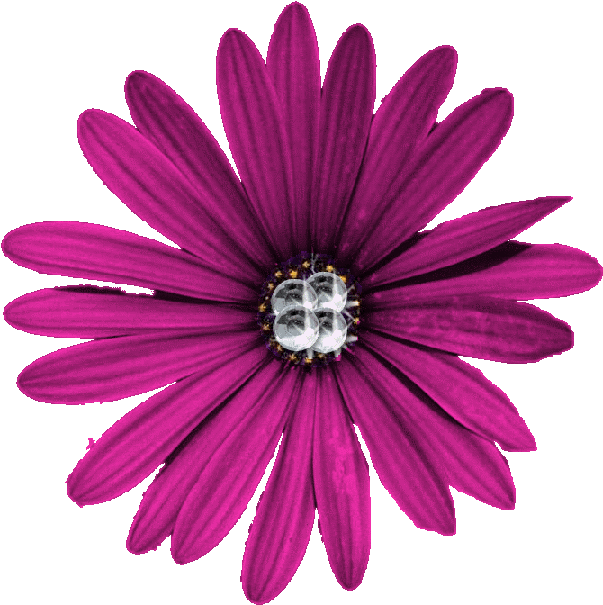 Purple Flower Png High Quality Download - Flower Pngs (791x777)