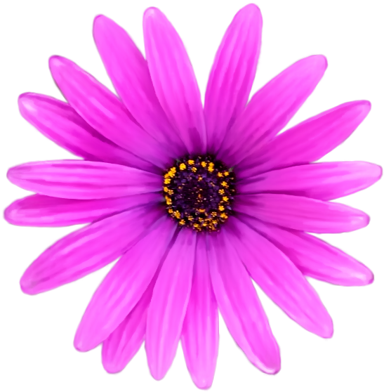Flowers Png - Adobe Photoshop (594x571)