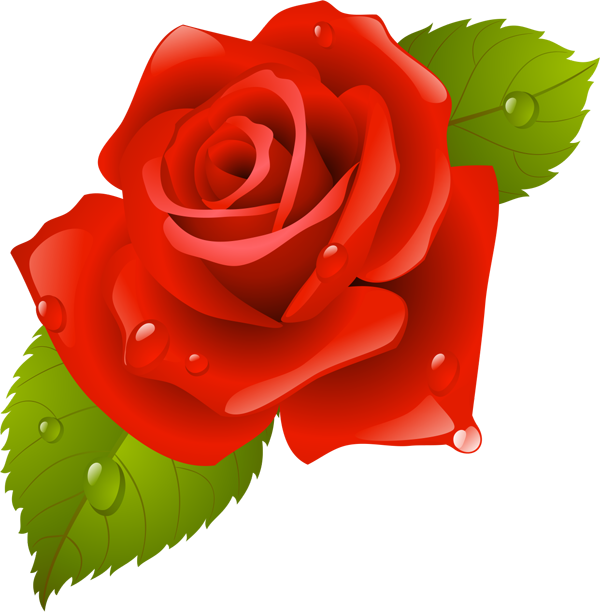 Garden Roses China Rose Beach Rose Flower Clip Art - Rose Frame (600x612)