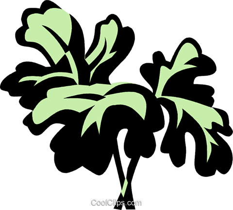 Parsley Royalty Free Vector Clip Art Illustration - Parsley Royalty Free Vector Clip Art Illustration (480x432)