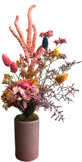 Small Pot Of Dried Flowers - Flower (600x600)