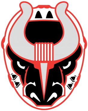 Birmingham Bulls (400x400)