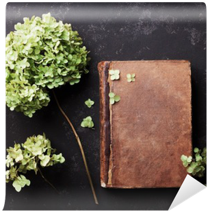Still Life With Old Book And Dried Flowers Hydrangea - Hydrangea (400x400)
