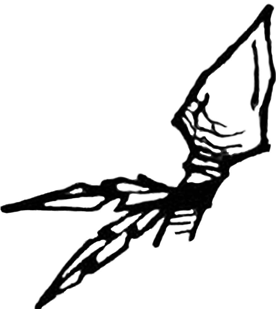 Home - Arrow Head Drawing (1000x1000)