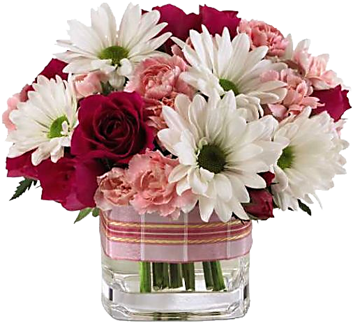 Explore Pink Flowers, Pink Carnations, And More - Beauty Flower (585x554)