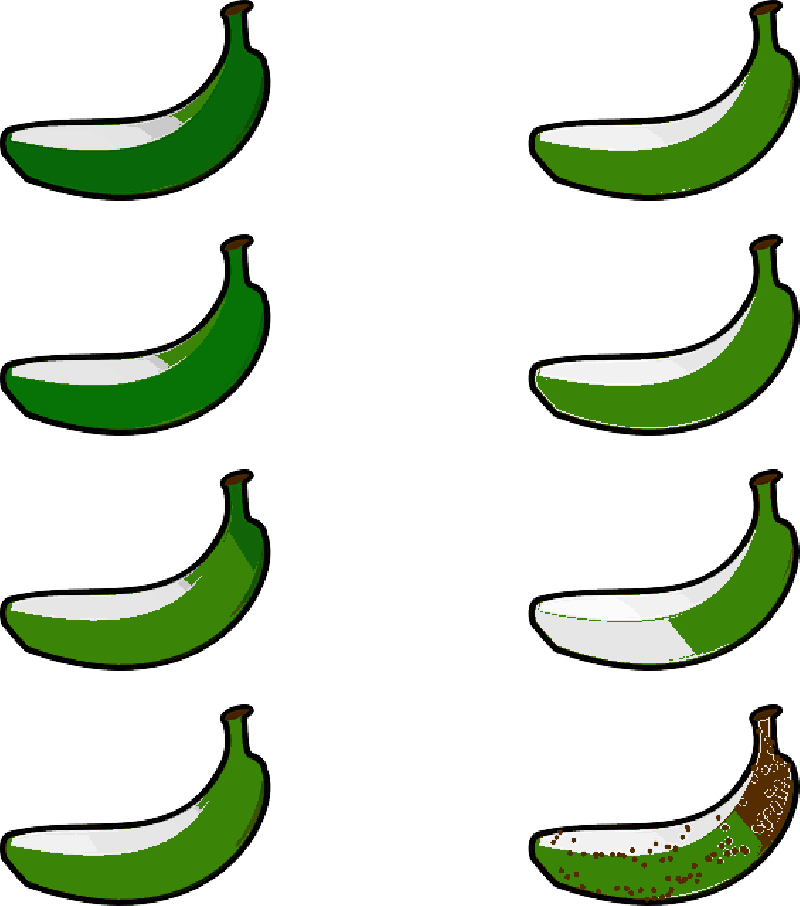 Banana, Degree Of Ripeness, Ripeness, Green, Yellow - Banana, Degree Of Ripeness, Ripeness, Green, Yellow (800x906)